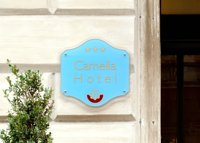 Camelia Отель 3*