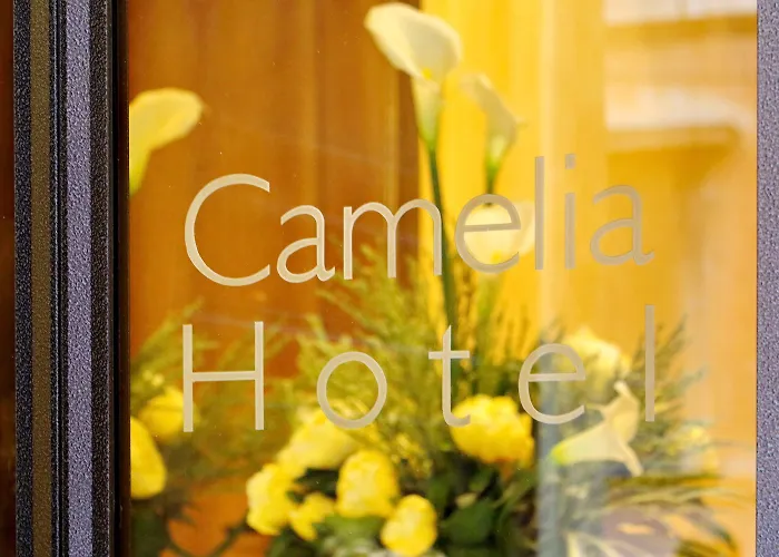 Camelia Рим