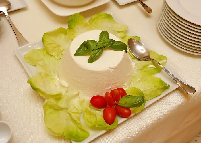 Отель Camelia